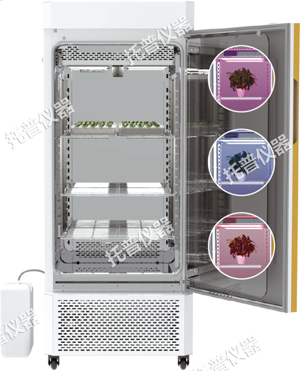 1742197924207749.png 8.png