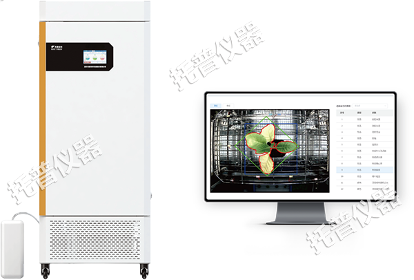 1742197945823149.png 10.png