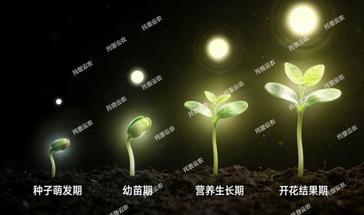 1774600306320845.jpg 图片14.jpg